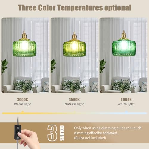Vintage Plug in Pendant Light Fixture