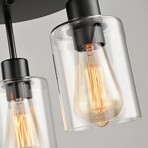 3 Light Industrial Farmhouse Black Matte Light Fixtures Ceiling Mount (3 Count)