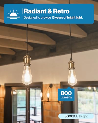 Sunco 30 Pack Edison Bulbs LED ST64 (30 Count)