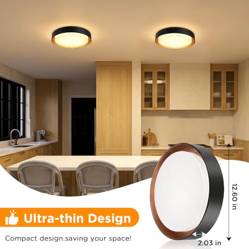 2 Pack Flush Mount Ceiling Light (Matte Black)