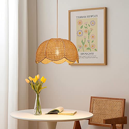 Indoor Hanging Ceiling Light Fixture