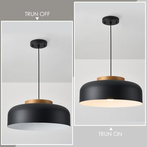 Large Pendant Light Fixture