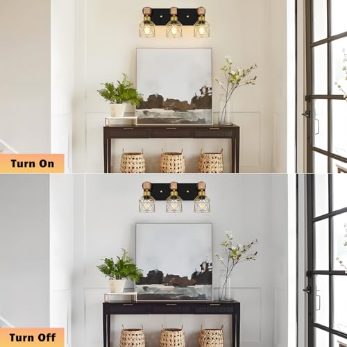Black and Gold Vanity Light
