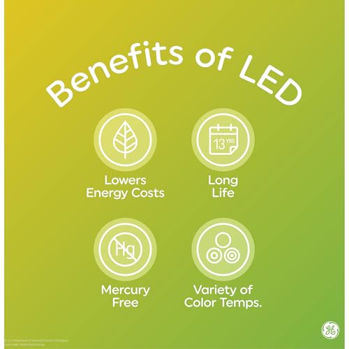 Vintage Style LED Light Bulbs (8 Count)