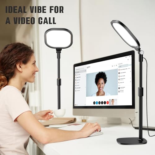 2 Packs Video Conference Lighting Kits (2 Count)