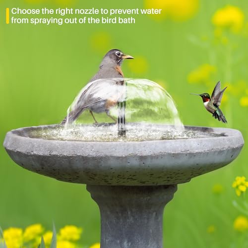 5.5W Solar Fountain Pump with Dry
