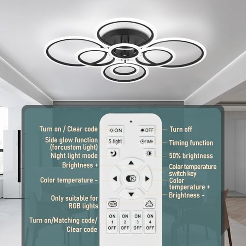 Modern Ceiling Light Fixture