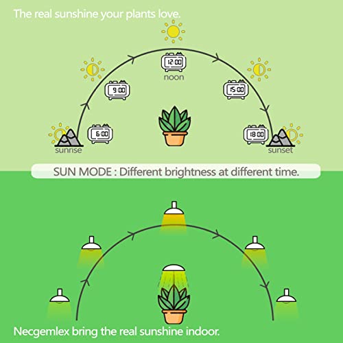 Smart Grow Light Bulbs for Indoor Plants (2 Count)