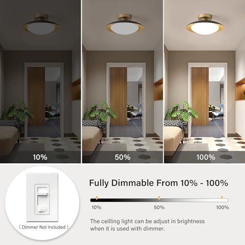 Dimmable Modern Mid