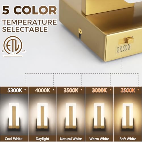 LED Wall Sconce Set of 2