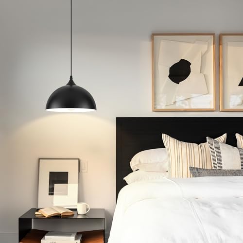 9.8 inch Kitchen Pendant Light 2 Pack (2 Count)