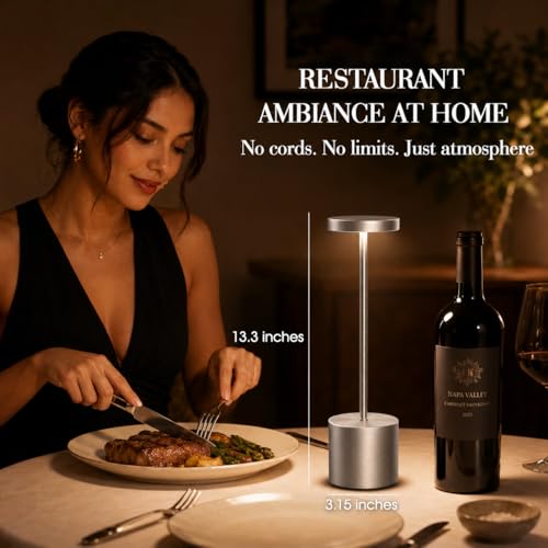 Silver Rechargeable Table Lamps 2 Pack (2 Count)