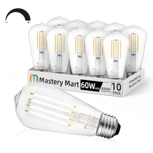 10 Pack Vintage Edison Bulbs (10 Count)