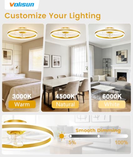 Low Profile Ceiling Fans with Lights and Remote
