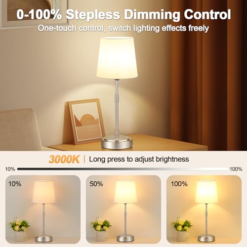 Cordless Table Lamps Set of 2 (2 Count)