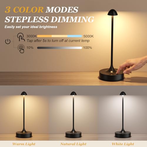 Cordless Rechargeable Table Lamp (2 Count)