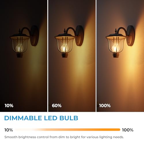 E26 G16.5 Edison Globe LED Bulb (6 Count)