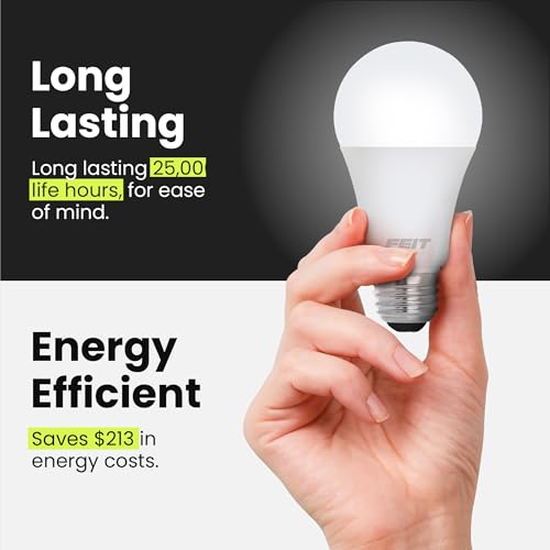 A19 LED Light Bulbs (4 Count)