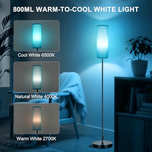 Floor Lamps for Living Room