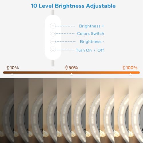 LED Vanity Lights for Mirror