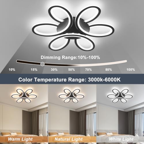 Modern LED Ceiling Light
