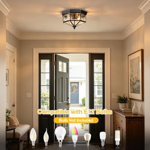Flush Mount Outdoor Ceiling Light Fixture