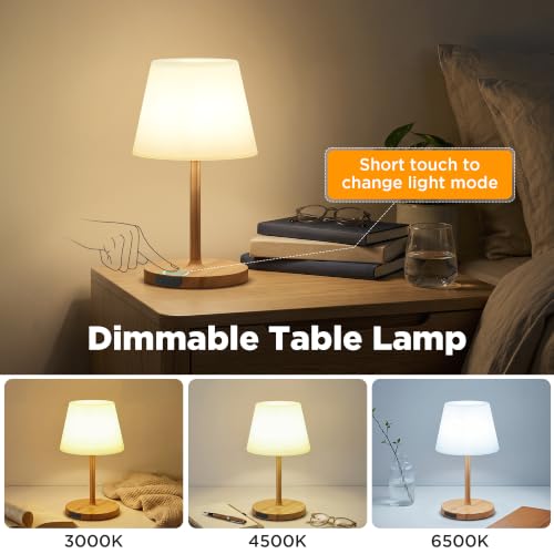 2 Pack Shower Lamp Waterproof (2 Count)