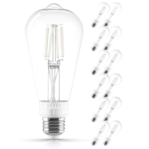 Vintage ST19 LED Light Bulb 60 Watt Equivalent (12 Count)