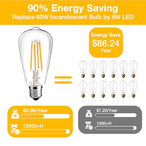 6 Pack Vintage LED Edison Bulbs (6 Count)