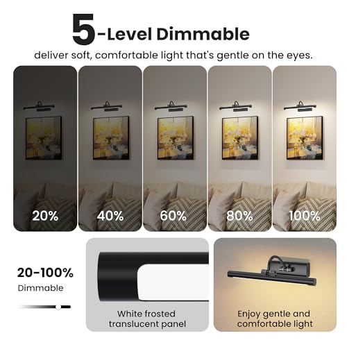 Rechargeable Light for Picture