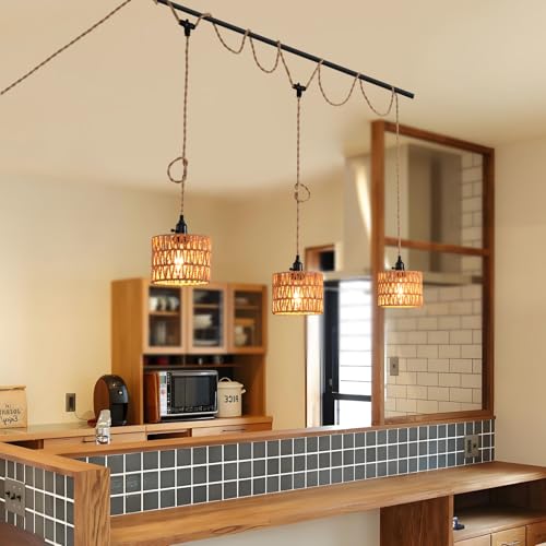 3 Light Hanging Light with Plug in Cord