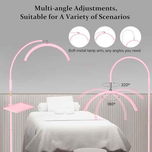Lash Light with Tool Tray