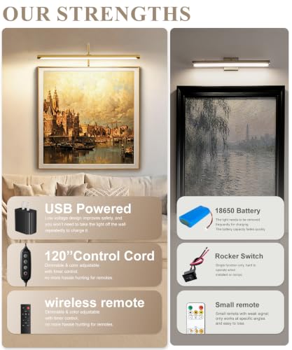 Plug in Picture Light for Wall (Gold / 24 Inch)
