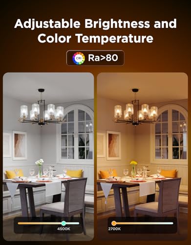 E12 Led Bulb Color Changing Candelabra Bulbs 450 LM (4 Count)
