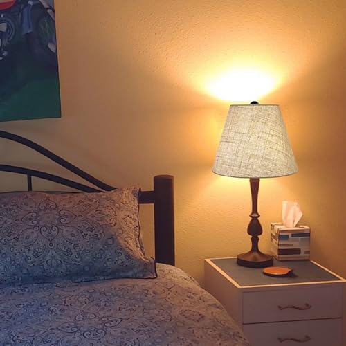 Small Lamp Shades for Table Lamps Set of 2