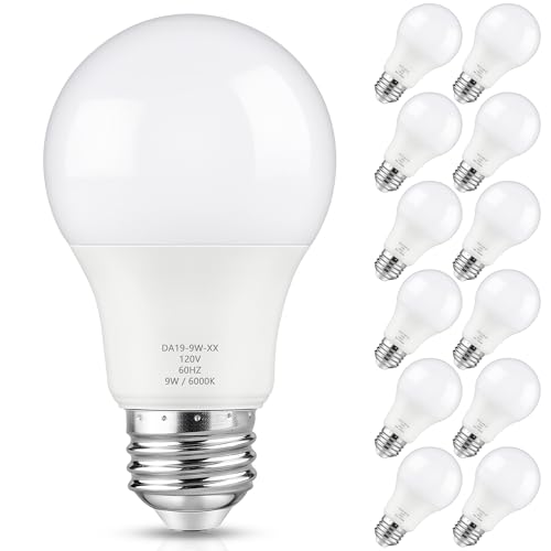 A19 LED Light Bulb (12 Count)