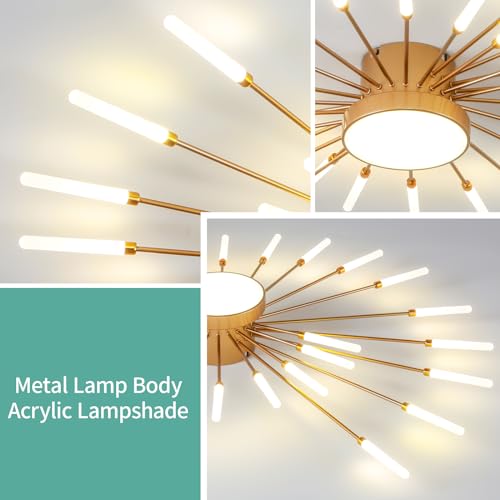 Modern Ceiling Light