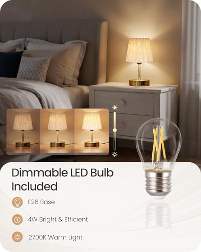Small Bedside Table Lamps Set of 2 (2 Count)