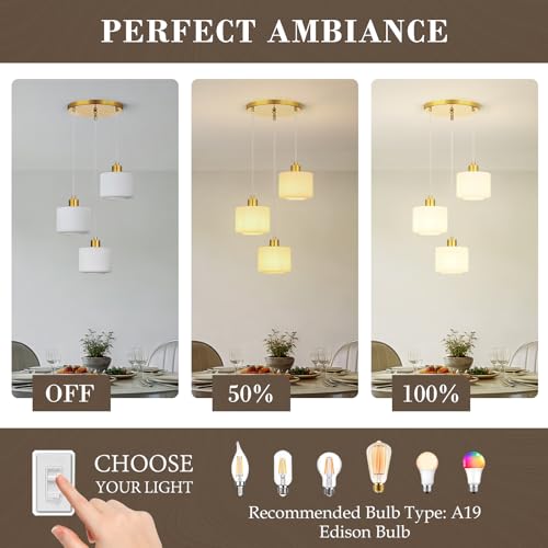 Brushed Gold Dining Room Chandelier Light Fixture
