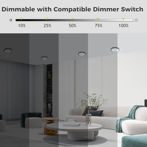 1PACK Flush Mount LED Ceiling Light Fixture Black