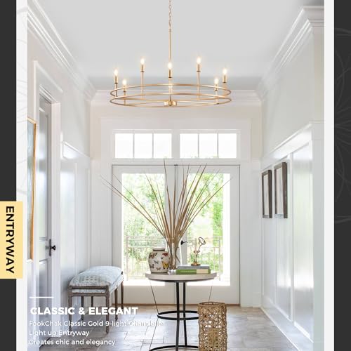 Brushed Gold Chandelier Light Fixture 9