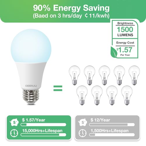 A19 Light Bulbs (24 Count)