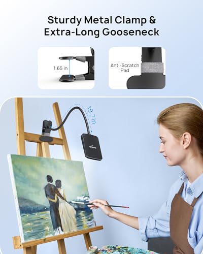 LED Desk Lamp with Clamp