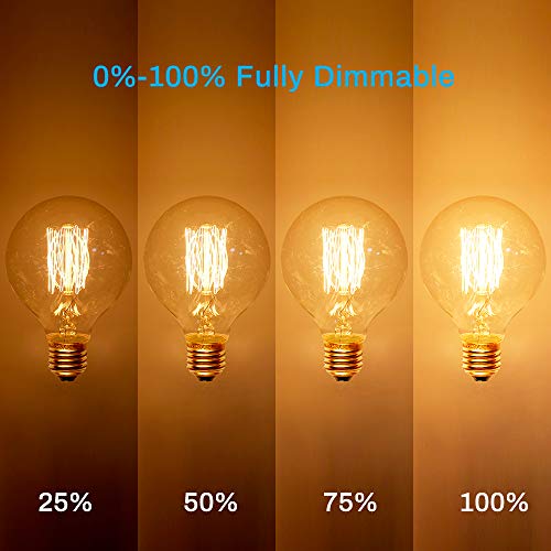 G25 Globe Edison Light Bulb (6 Count)
