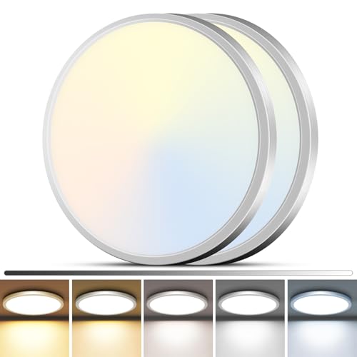 2Pack 12" LED Flush Mount Ceiling Light (2 Count)