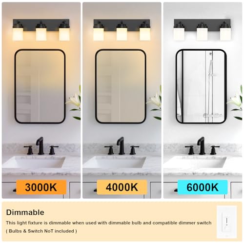 Bathroom Vanity Light Fixture