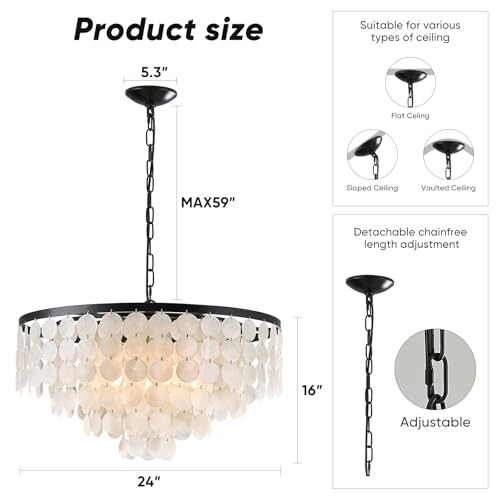 24" Coastal Capiz Shell Chandelier