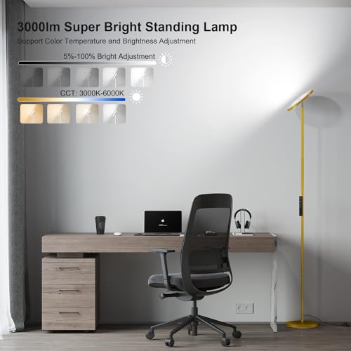 Floor Lamps for Living Room