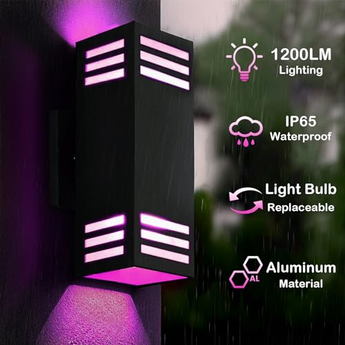 Smart Outdoor Wall Sconce