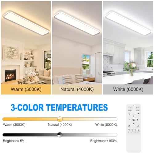 Modern LED Ceiling Light
